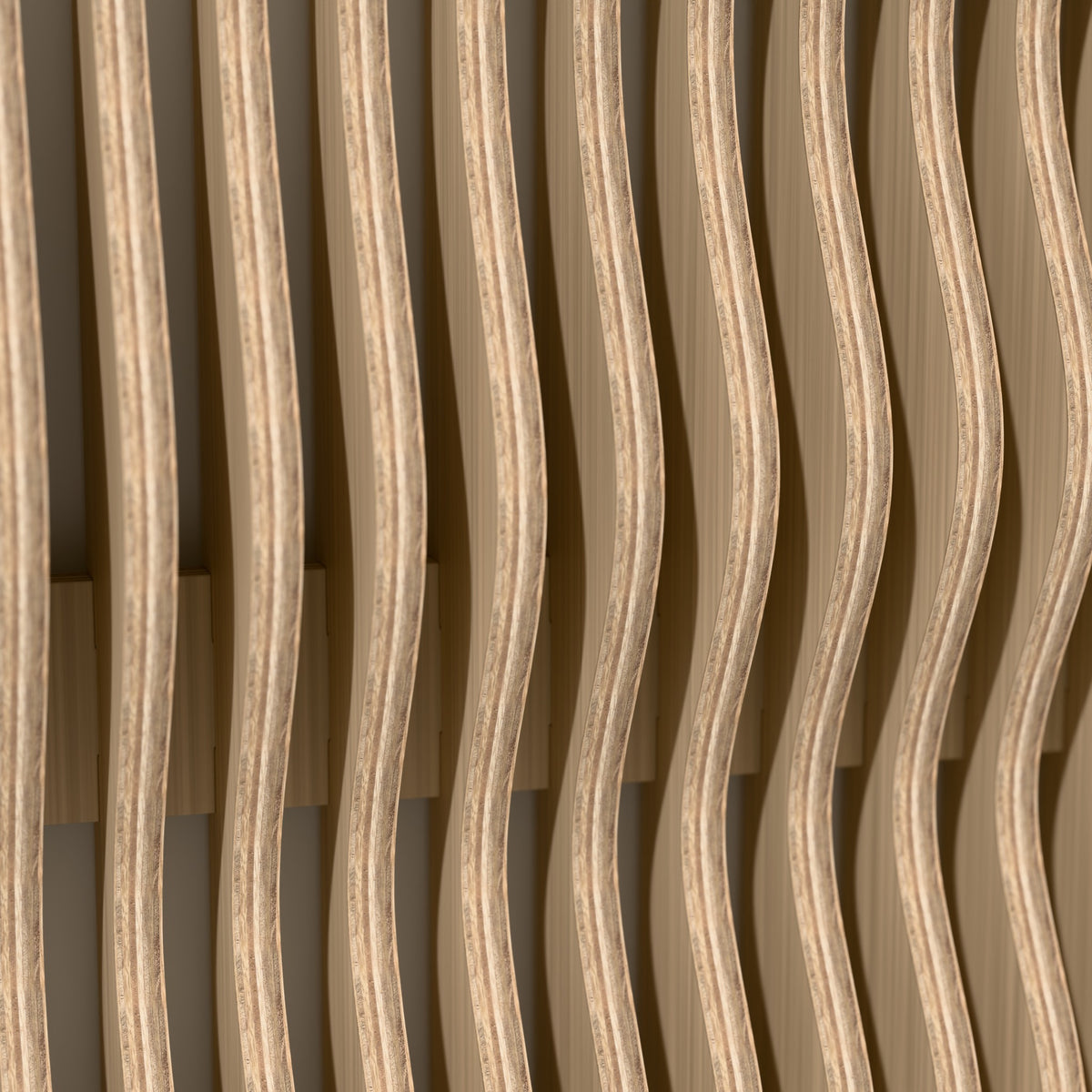 Detail of the Asahi ribs and layered birch edges