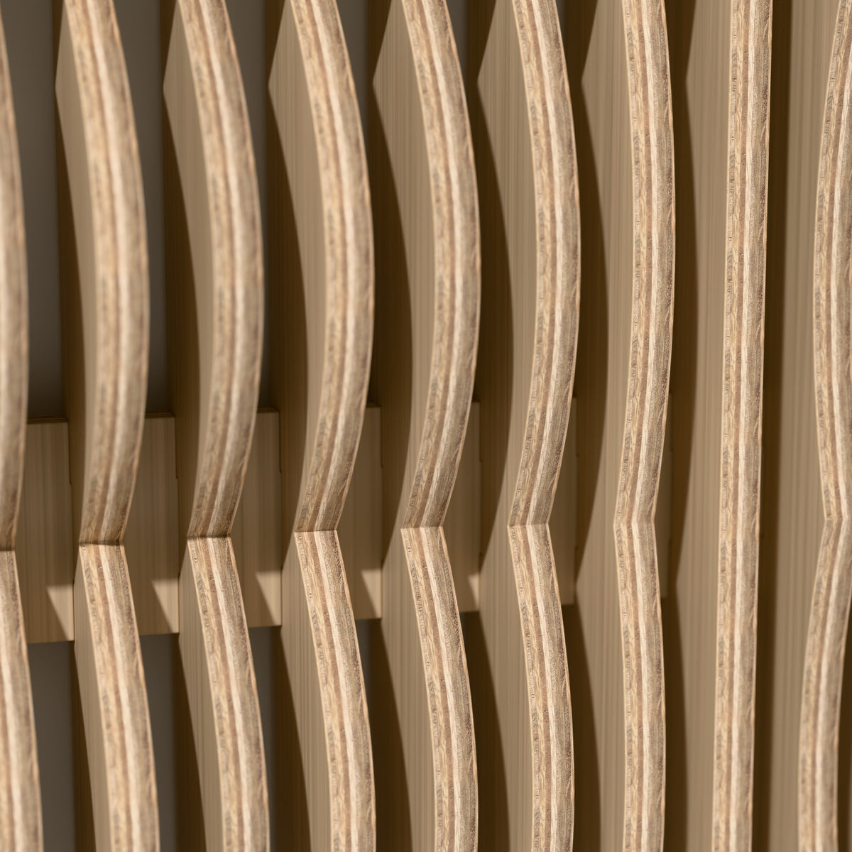 Detail of the Strata ribs and layered birch edges